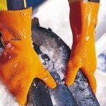 luva_Singer_lat830_01